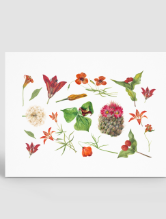 Kırmızı Çiçekler Tasarımlı A4 Kağıt 17'li Yetişkin Sticker Seti
