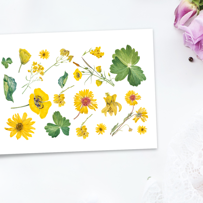 Sarı Çiçekler Tasarımlı A4 Kağıt 20'li Yetişkin Sticker Seti
