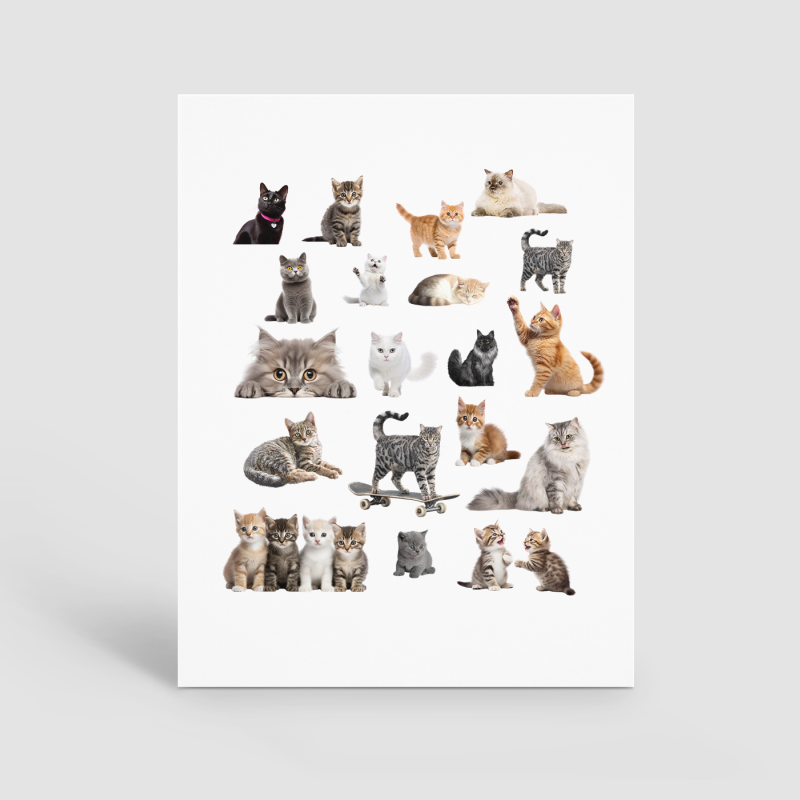 Gerçek Kedi Fotoğrafları Tasarımlı A4 Kağıt 20'li Çocuk Sticker Seti