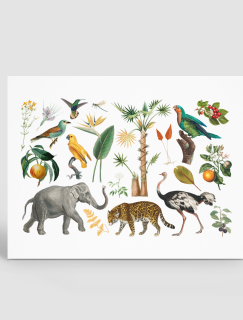 Vahşi Doğa Tasarımlı A4 Kağıt 20'li Çocuk Sticker Seti