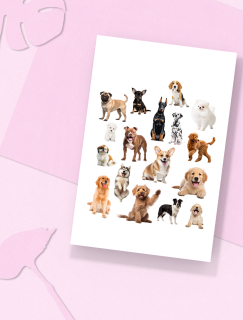 Gerçek Köpek Fotoğrafları Tasarımlı A4 Kağıt 17'li Çocuk Sticker Seti