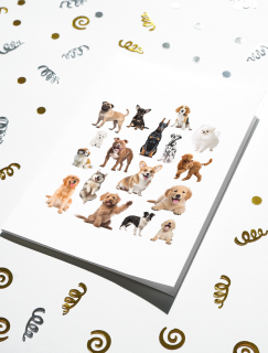 Gerçek Köpek Fotoğrafları Tasarımlı A4 Kağıt 17'li Çocuk Sticker Seti