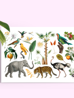 Vahşi Doğa Tasarımlı A4 Kağıt 20'li Çocuk Sticker Seti