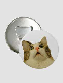 Şaşkın Kedi Tasarımlı Magnet Açacak