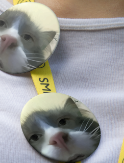 Meraklı Kedi Adam Caps Tasarımlı İğneli Rozet