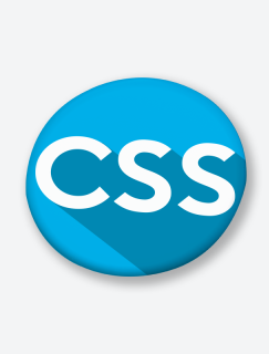 CSS Yazılım Dili Temalı İğneli Rozet