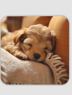 Uyuyan Sevimli Köpek Tasarımlı 4lü Kare Bardak Altlığı