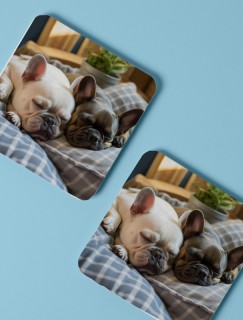 Uyuyan Buldog Köpekler Tasarımlı 4lü Kare Bardak Altlığı