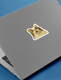 Şaşkın Kedi Tasarımlı Laptop Sticker