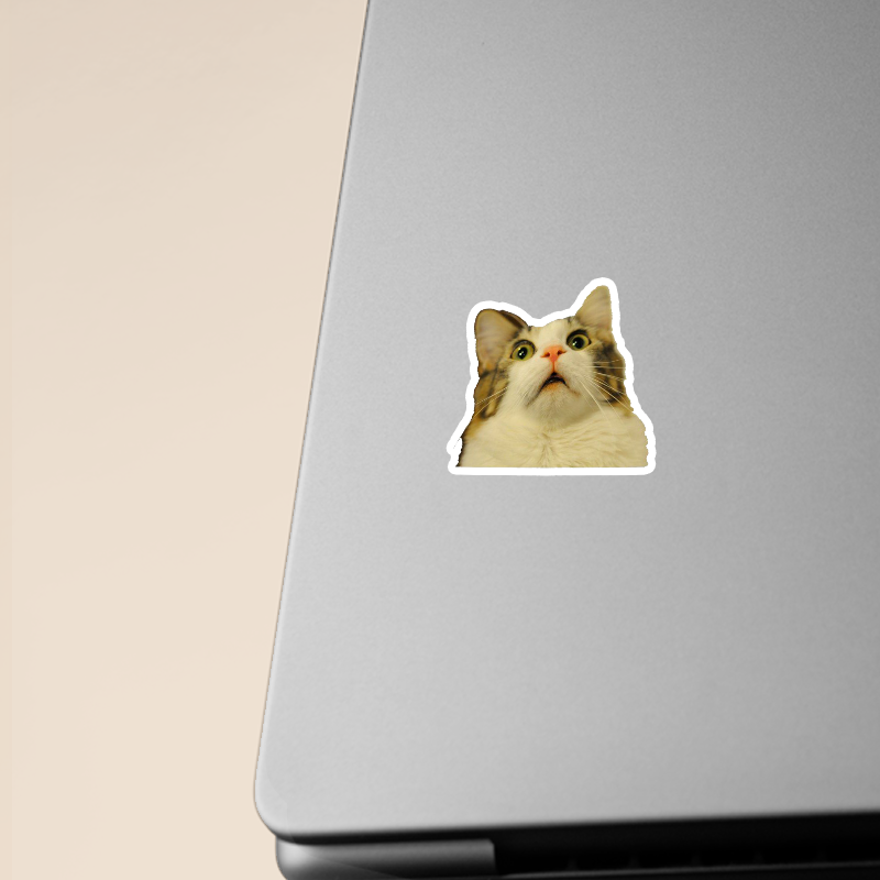 Şaşkın Kedi Tasarımlı Laptop Sticker