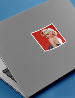 Kırmızı ve Marilyn Laptop Sticker