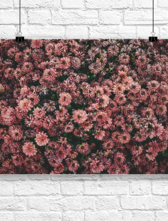Pembe Düşler Çiçek Motifli A3 Dijital Baskı Poster