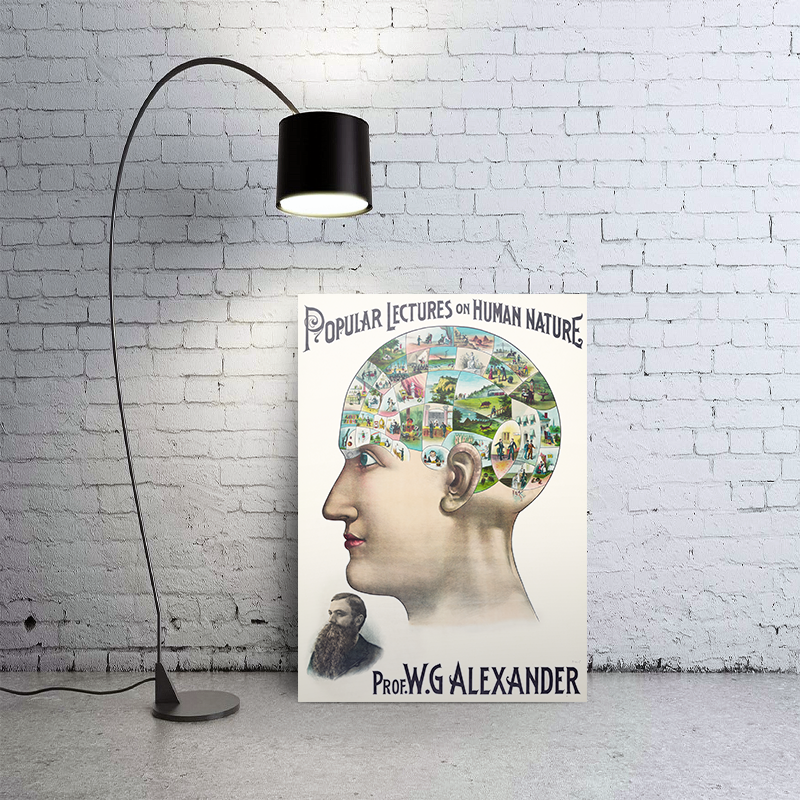 İnsan Doğası Tasarımlı Kitap Resmi Tasarımlı A3 Poster