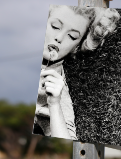 Çiçek Marilyn Tasarımlı A3 Poster