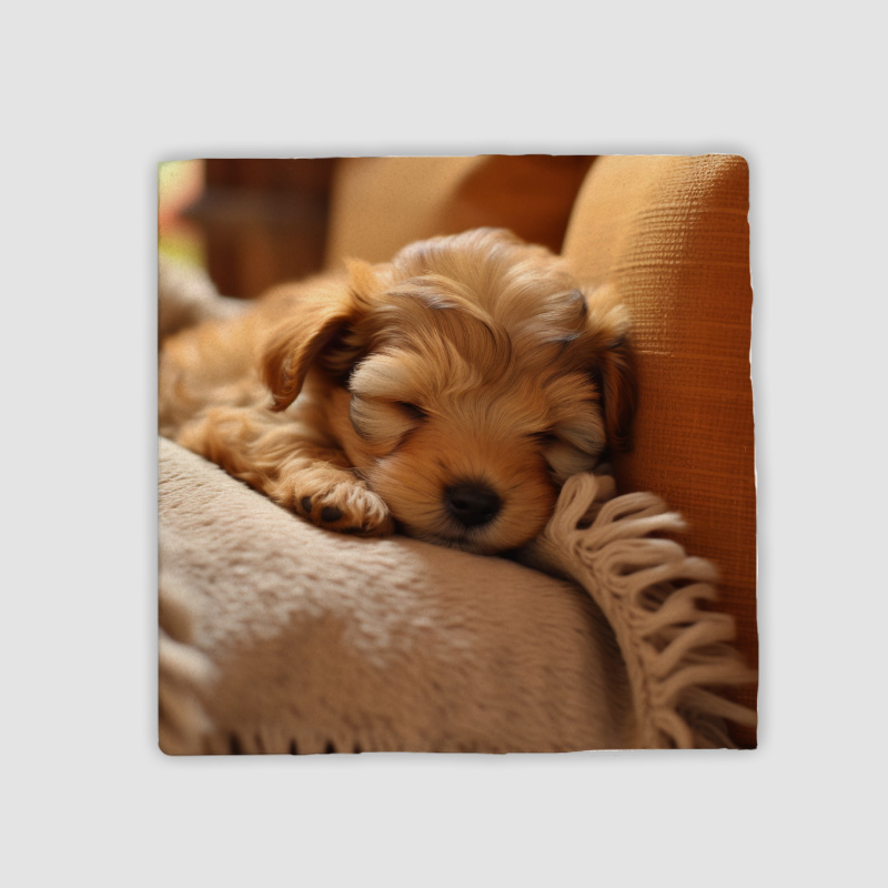 Uyuyan Sevimli Köpek Tasarımlı 4lü Doğal Taş Bardak Altlığı