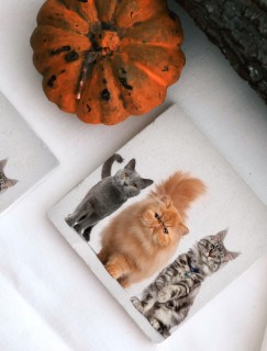 Kedi Çetesi Tasarımlı 4lü Doğal Taş Bardak Altlığı