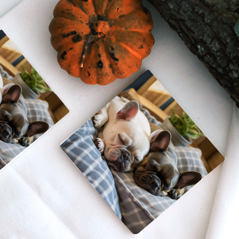 Uyuyan Buldog Köpekler Tasarımlı 4lü Doğal Taş Bardak Altlığı