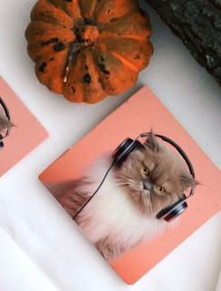 Müzik Tutkunu Kedi Tasarımlı 4lü Taş Bardak Altlığı